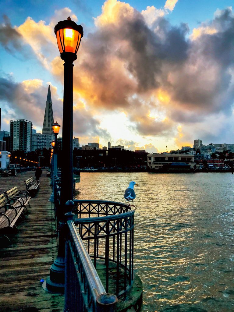 Sunset by the bay in San Francisco