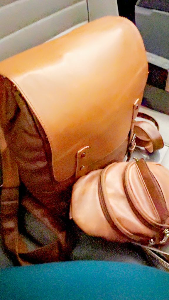 Brown backpack and crossbody bag for travel