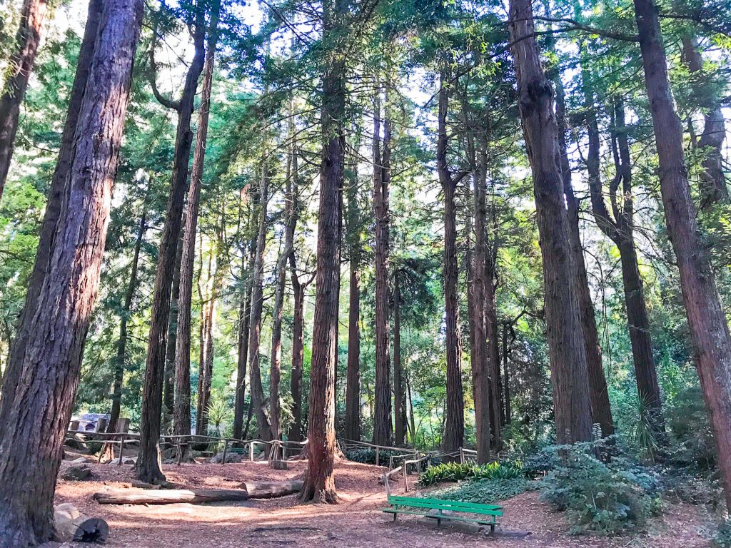 SF Botanical Gardens