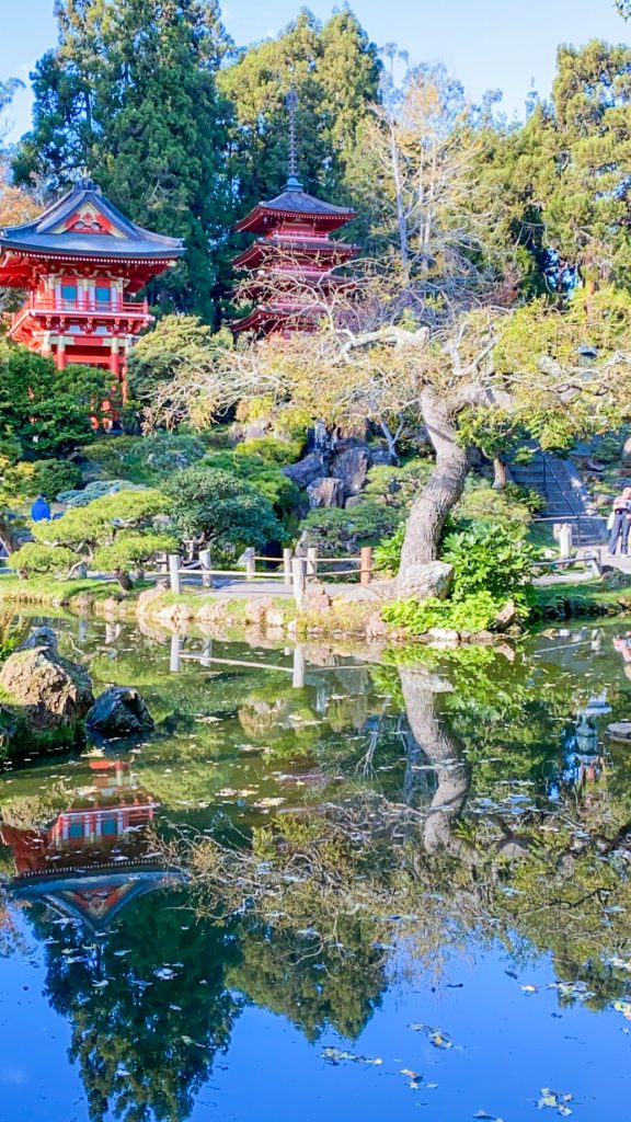 Japanese Tea Garden in San Francisco