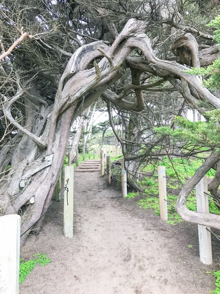 Land End in San Francisco