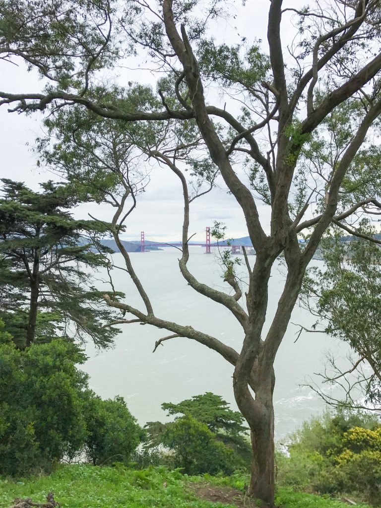 Golden Gate Bridge view from near the Legion of Honor