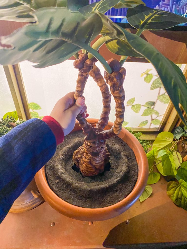 Interactive props at the Harry Potter Exhibition in NYC